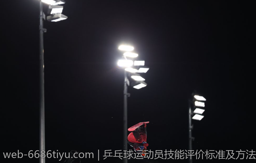 乒乓球运动员技能评价标准及方法研究