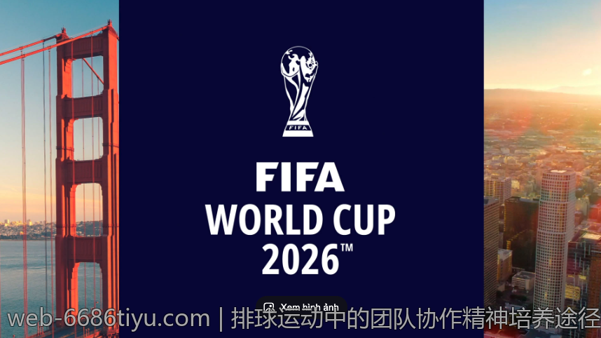 排球运动中的团队协作精神培养途径